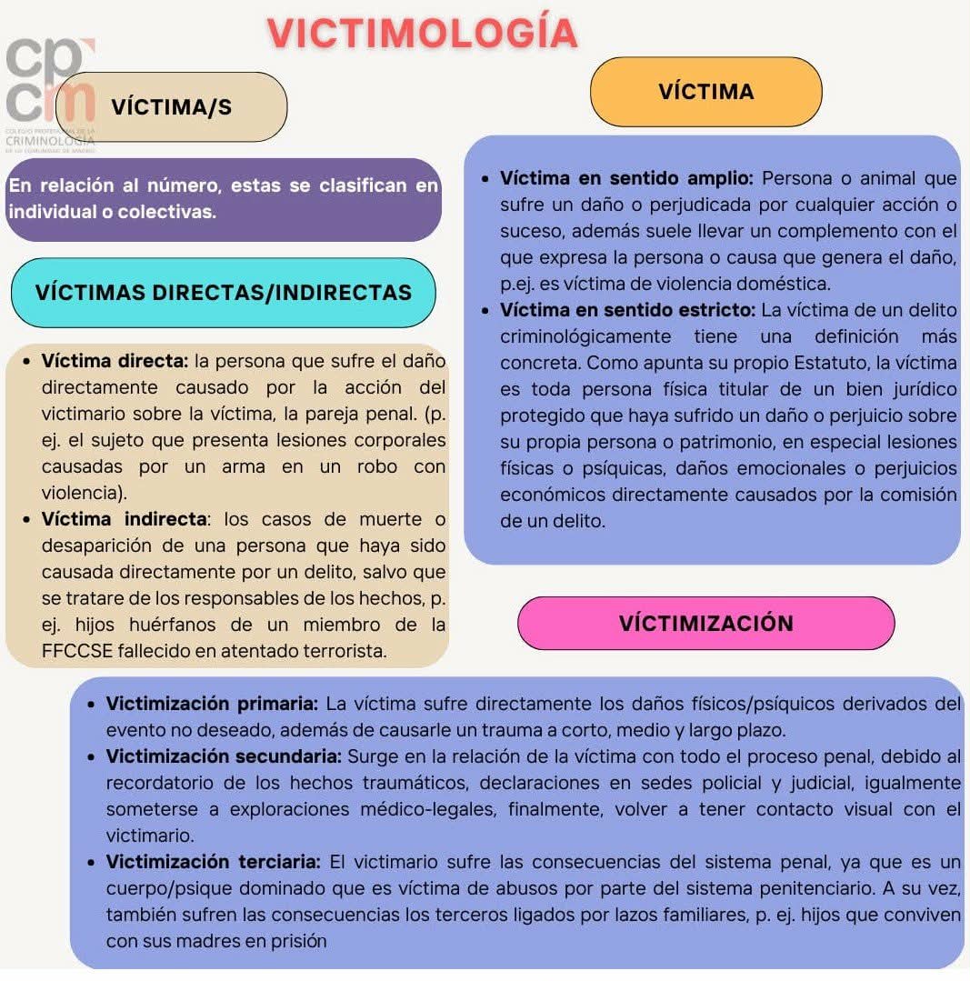 Afiche 6